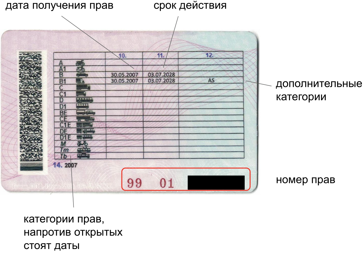 Серия водительского удостоверения