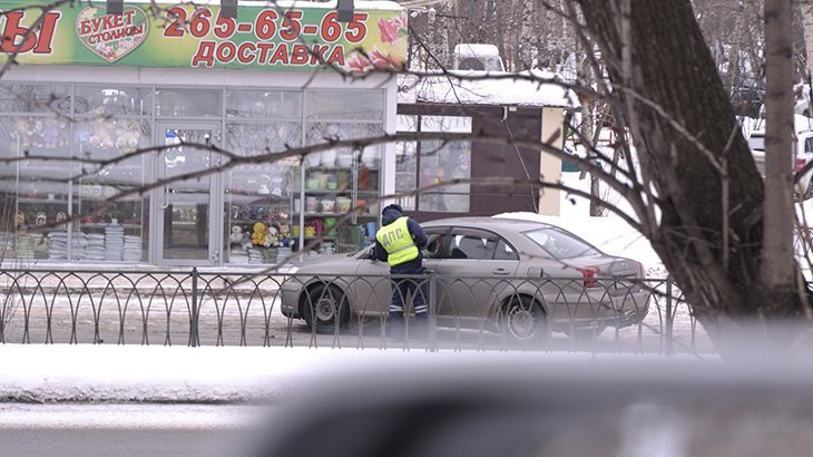 Исследование статистика структуры штрафов ГИБДД в России дорожные камеры